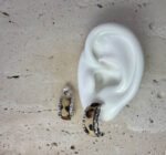 Topos Selva - Image 2